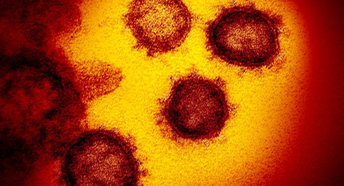 Coronavirus: Usa indaga laboratorio Cina