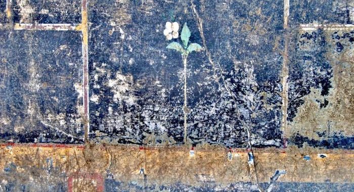 A Pompei il mistero della piccola Mummia