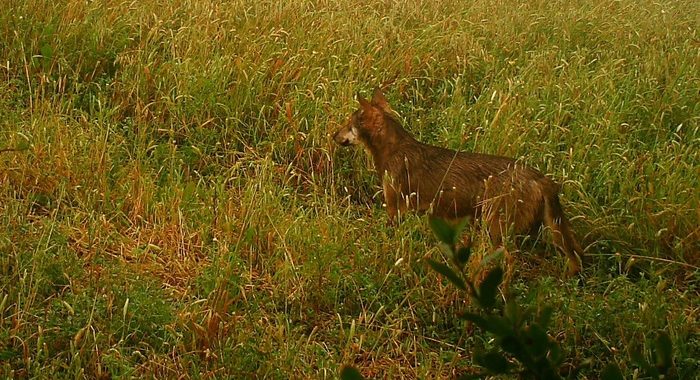 Natura 2000 Day, matarona Lipu su Fb