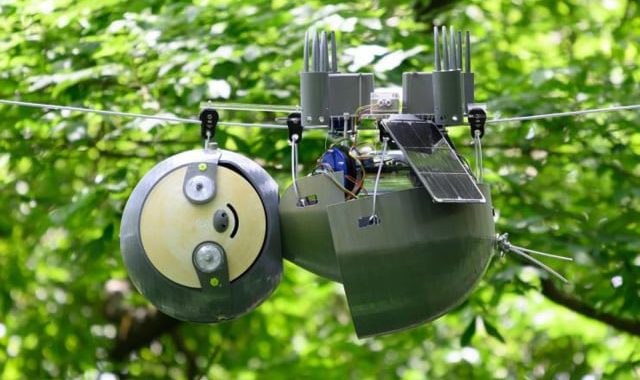 Il bradipo robot che aiuterà l’ambiente