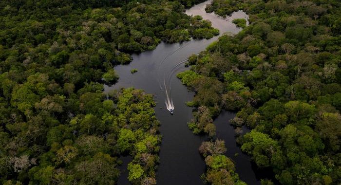 Amazzonia: ambasciatore Ue, Brasile adotti politiche chiare