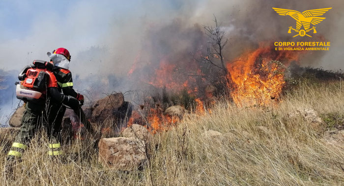 Incendi: 2 volontari lotta fuoco arrestati in Sardegna
