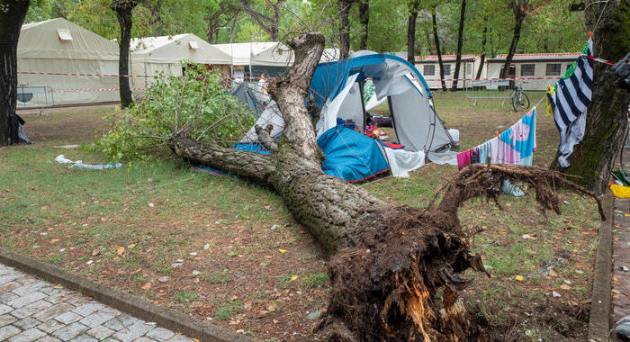 Albero su tenda, sequestrato camping della tragedia