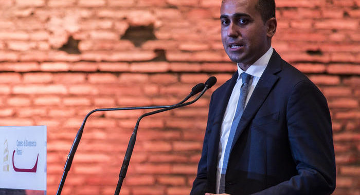 Di Maio, Mes?Cominciamo a spendere soldi Recovery fund