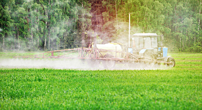 Prodotti fitosanitari contenenti la sostanza attiva composti del rame