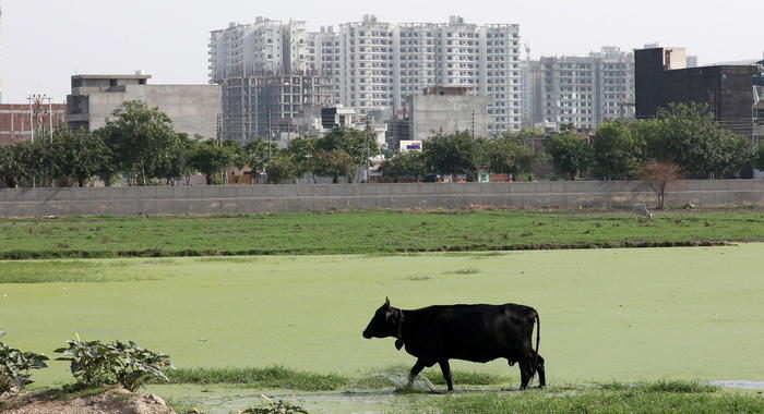 India: Wwf; 30 città a rischio sete nel 2050, anche Delhi