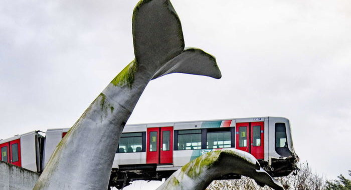 Olanda: la statua di una balena salva una metro deragliata