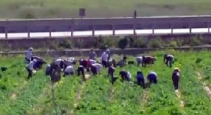 Truffe all’Inps in Puglia, 21 misure cautelari