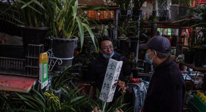 Cina:record surplus novembre a 75,42 mld