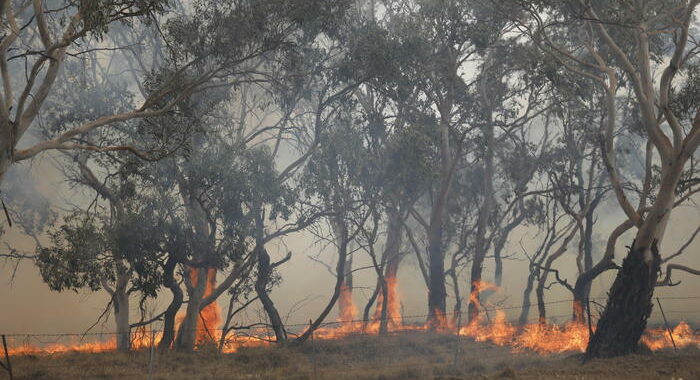 Australia: incendio fuori controllo alle porte di Perth