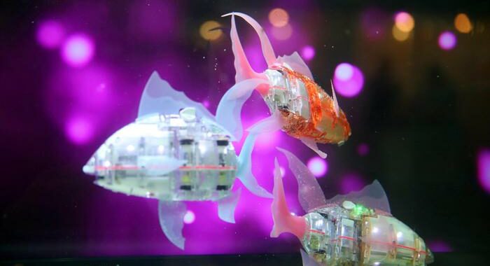 Pronto primo banco di pesci robot che si muove in autonomia