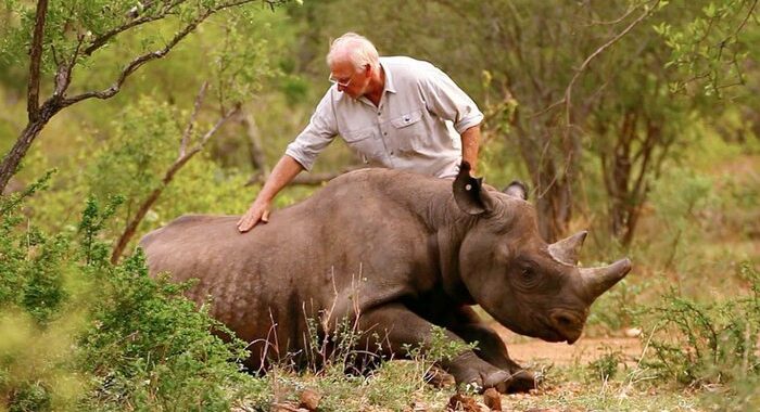 Sudafrica: nella foresta c’è un orfanatrofio per rinoceronti