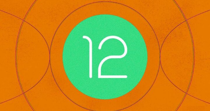 Android 12, un’anteprima del nuovo sistema operativo