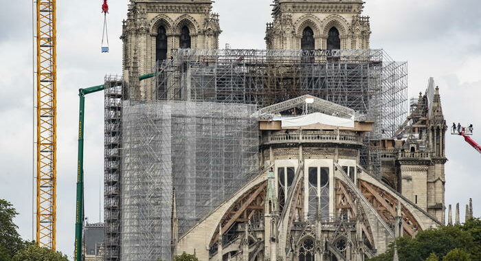 Notre-Dame: mille querce per ricostruire la guglia