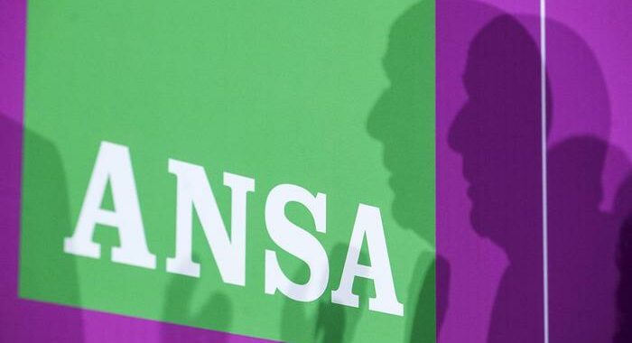 Assemblea soci ANSA approva bilancio, Anselmi presidente