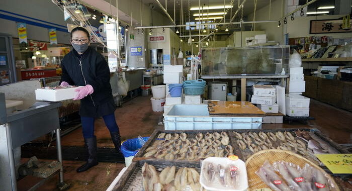 Fukushima: rabbia e sconforto industria pesca giapponese