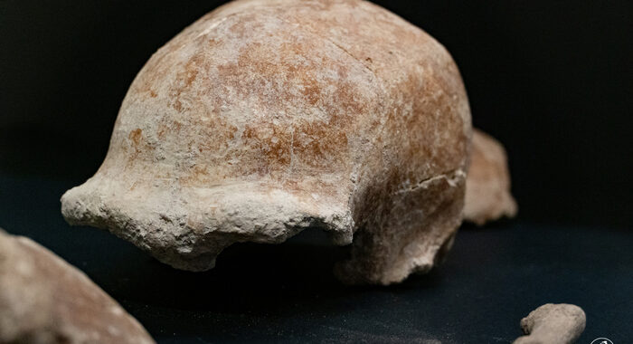 Eccezionale al Circeo, i resti di 9 uomini di Neanderthal