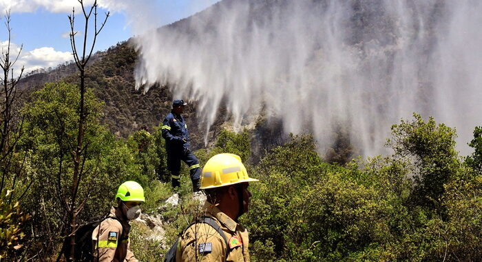 Grecia: progressi in lotta a grande incendio boschivo