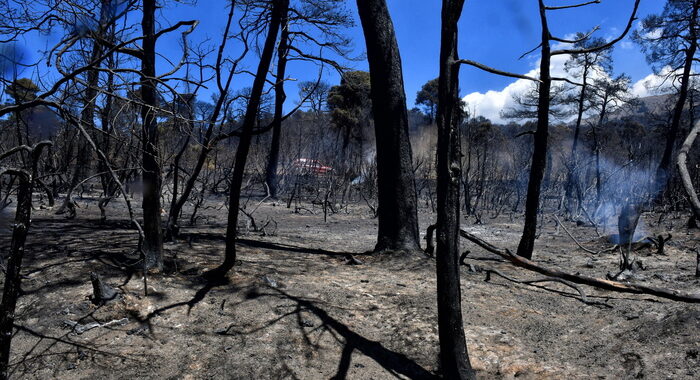 Grecia: quasi sotto controllo incendio in Geraneia