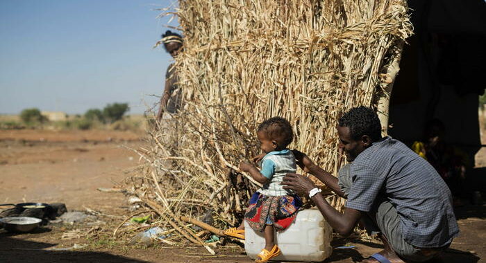 Etiopia: Onu, diverse aree Tigray sull’orlo della carestia