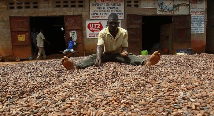 Usa:schiavitù infantile,stop causa contro giganti cioccolato