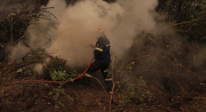 Incendi in Algeria, i morti aumentano a 65
