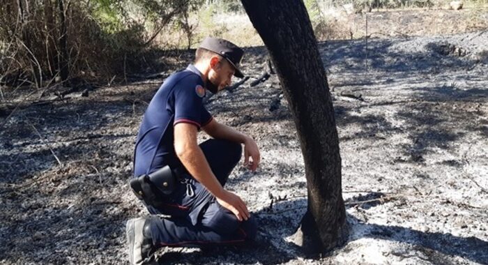 Incendi: oggi alle 17 cdm per dichiarazione stato emergenza