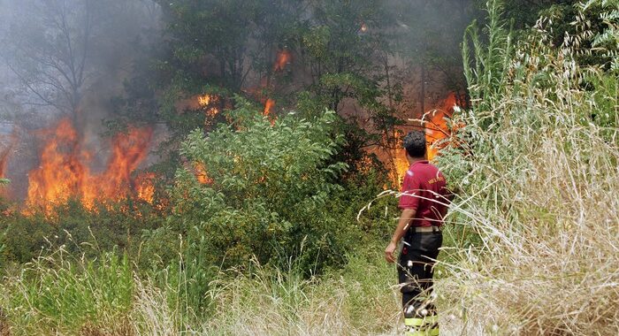 Incendi: Prefettura Reggio Calabria, interviene Esercito