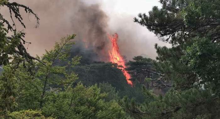 Incendi: santuario Aspromonte quasi isolato, fedeli indietro