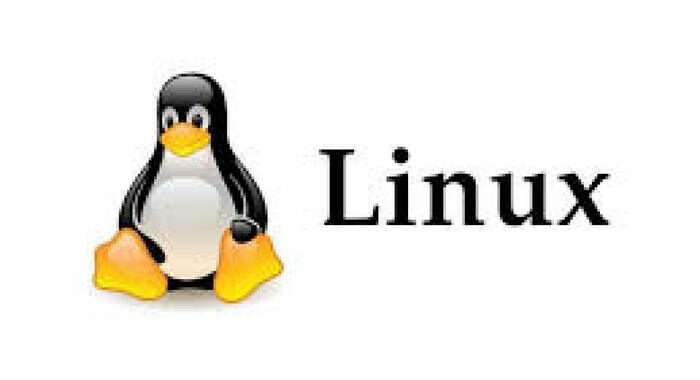 Trent’anni fa rivoluzione Linux, il software ‘libero’