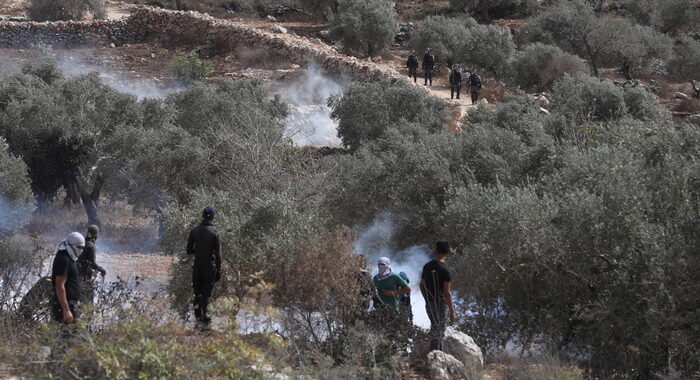 Almeno 4 palestinesi uccisi da esercito Israele