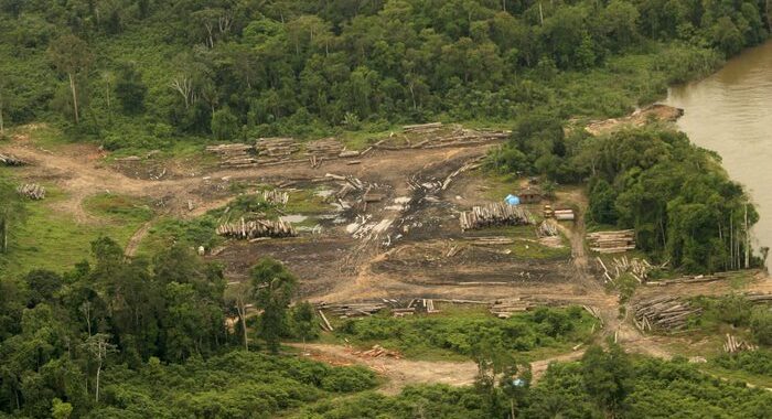Amazzonia: ong, ad agosto maggiore deforestazione da 10 anni