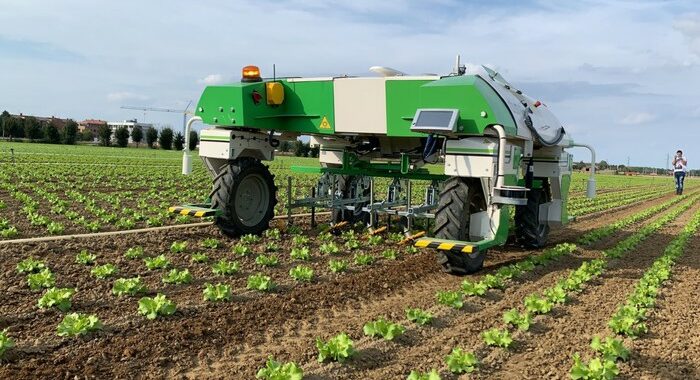 Arriva ‘Dino’, bio-robot che pulisce i terreni senza chimica