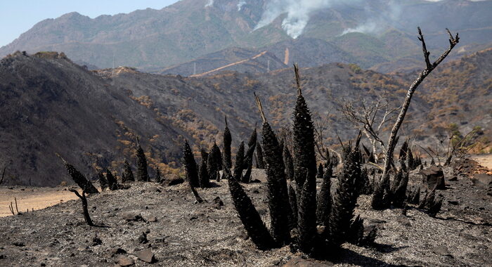 Incendi: Spagna, rogo al sud ancora fuori controllo