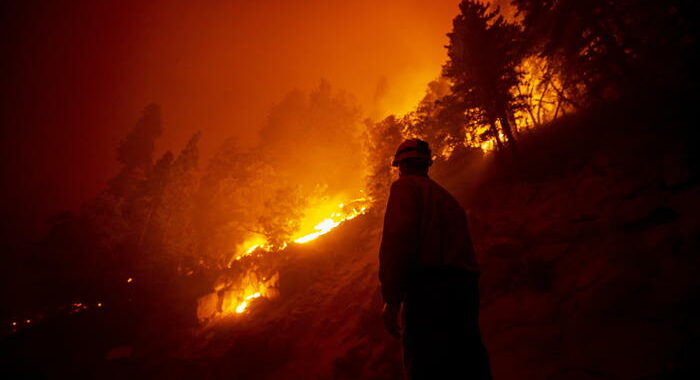 Incendi: Usa, a rischio le sequoie della California