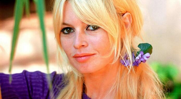 Francia: tribunale Réunion chiede 25.000 euro multa a Bardot