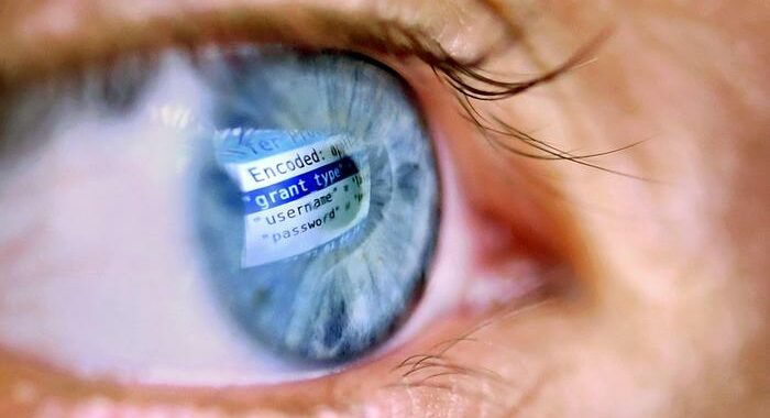 Scansionare iride in cambio soldi,ultima idea Silicon Valley