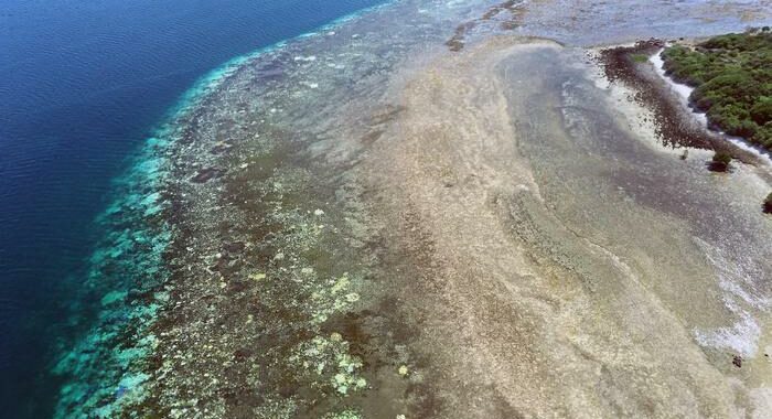 Clima, sbiancato 98% della Grande barriera corallina australiana