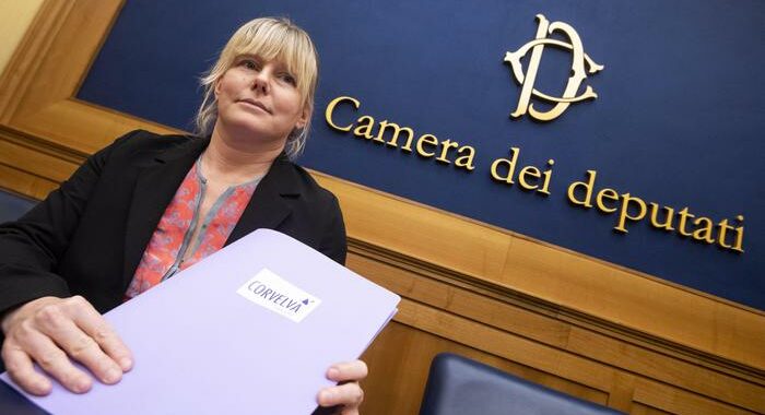 Cunial alla Camera senza il green pass, accettata sospensiva