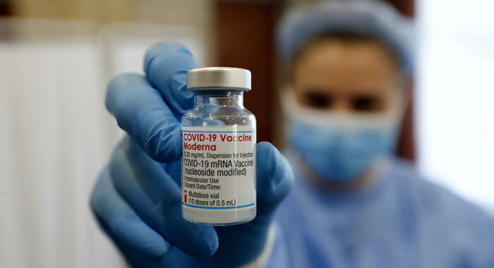 Ecdc, la nuova variante potrebbe indebolire i vaccini