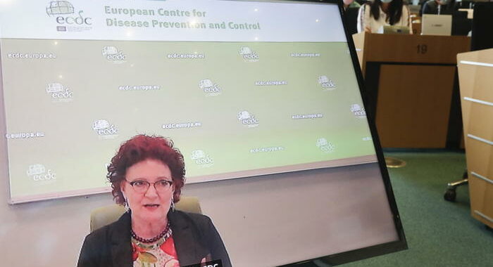 Ecdc,se a Natale la situazione non migliora servono misure