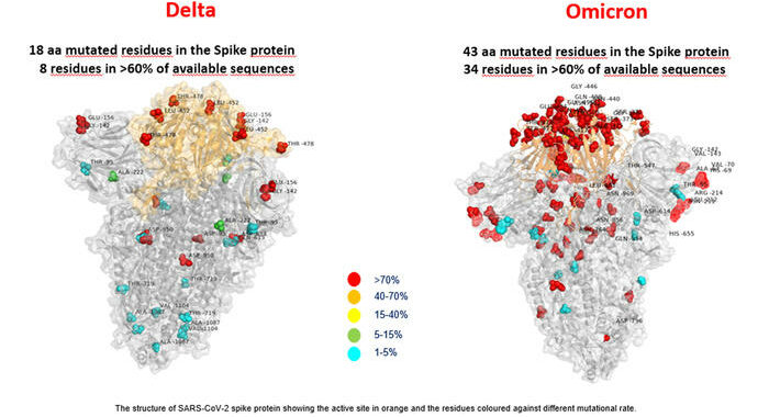 Nigeria, trovata variante Omicron in test fatti a ottobre