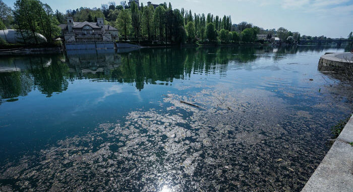 Covid: Piemonte, dopo 115 giorni virus cala in acque reflue