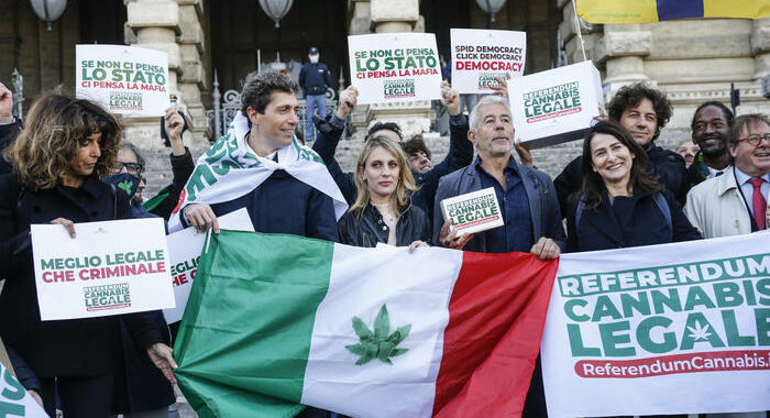 Il 15/2 pronuncia Consulta su referendum, anche su cannabis