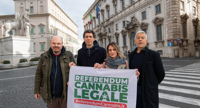 Cannabis: Magi, quesito non sbagliato, Amato irrispettoso