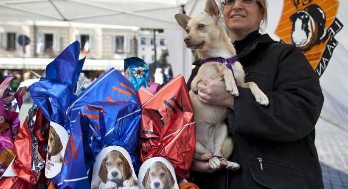 Milleproroghe: ok sperimentazione su animali fino al 2025