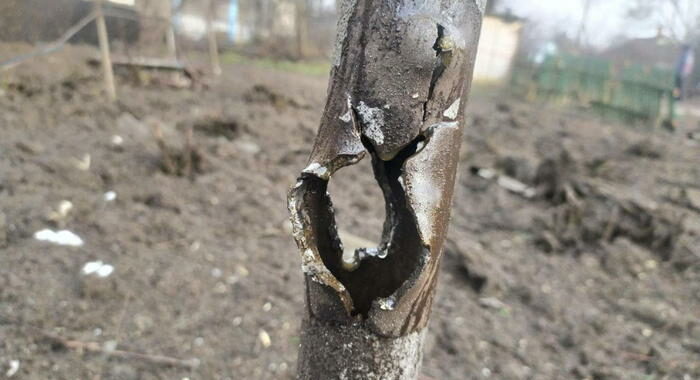 Ucraina: Tass, altri bombardamenti su Donetsk