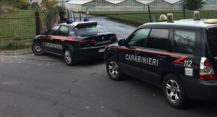 Violentano e picchiano una donna, arrestati tre 20enni