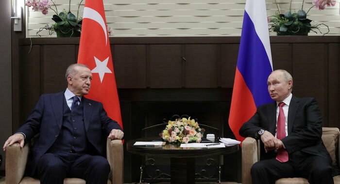 Il turco Erdogan discute della crisi in Ucraina con Putin