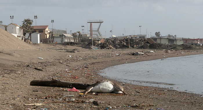 Maltempo: in arrivo temporali al Centro e burrasche al Sud